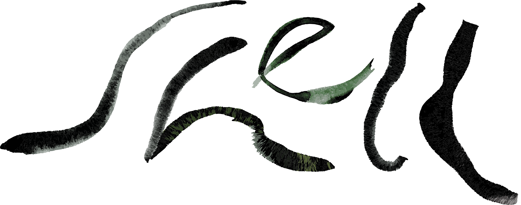 Shell